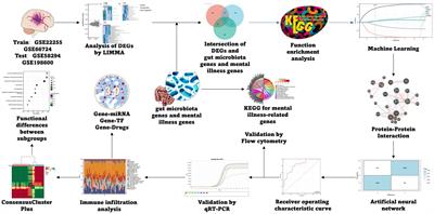 Predictive model, miRNA-TF network, related subgroup identification and drug prediction of ischemic stroke complicated with mental disorders based on genes related to gut microbiome